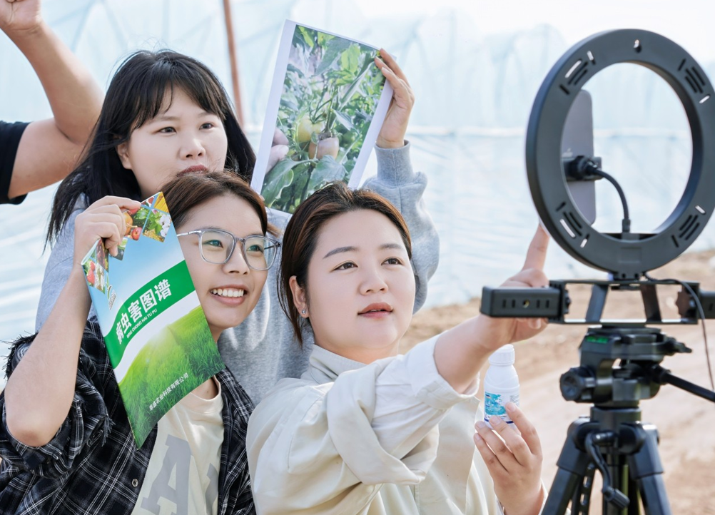 如图片无法显示，请刷新页面