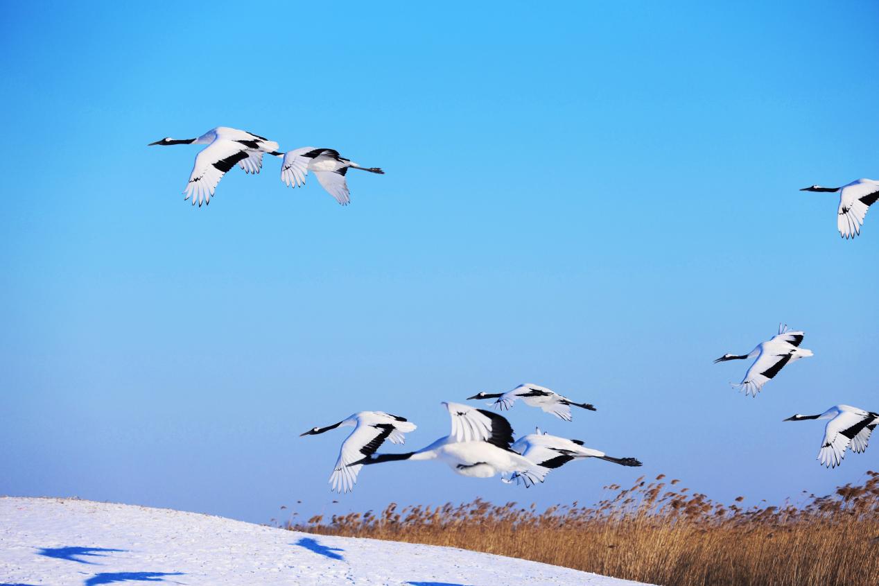 a9f62899fa736cc7a74e71b4a4d29636