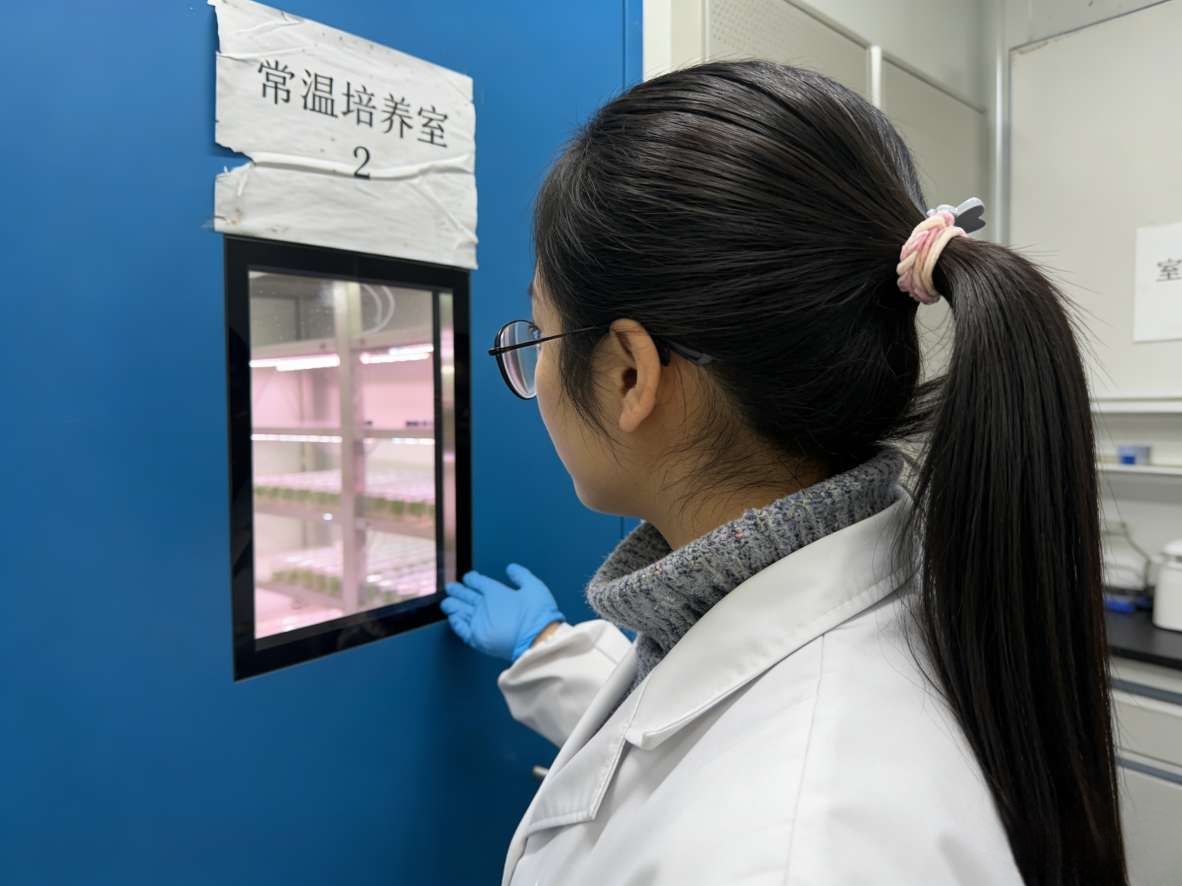 如图片无法显示，请刷新页面