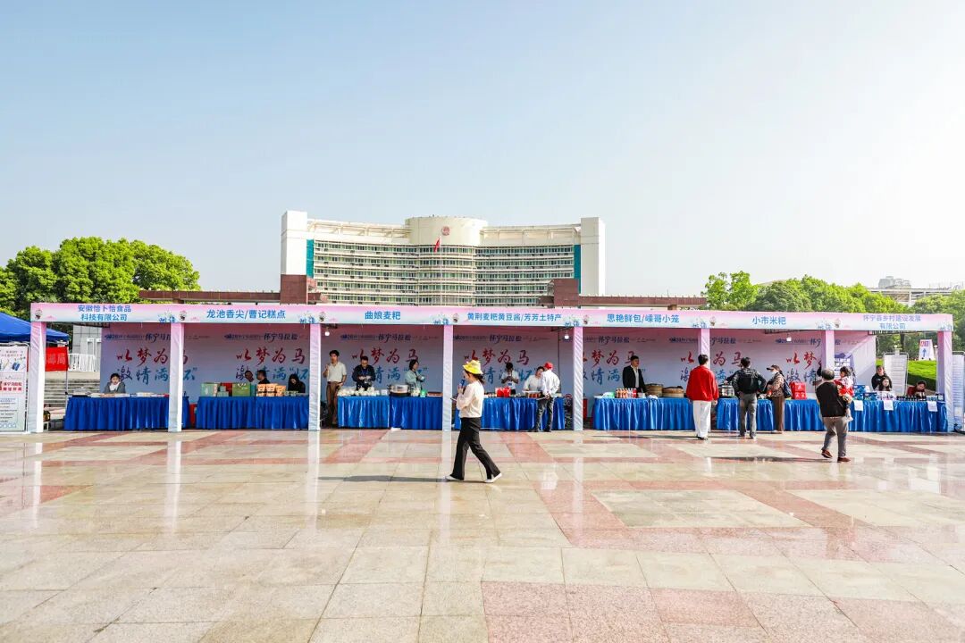 一镜千年，策马怀宁｜2026怀宁农商银行·怀宁马拉松跑出“诗乡果海”新篇章