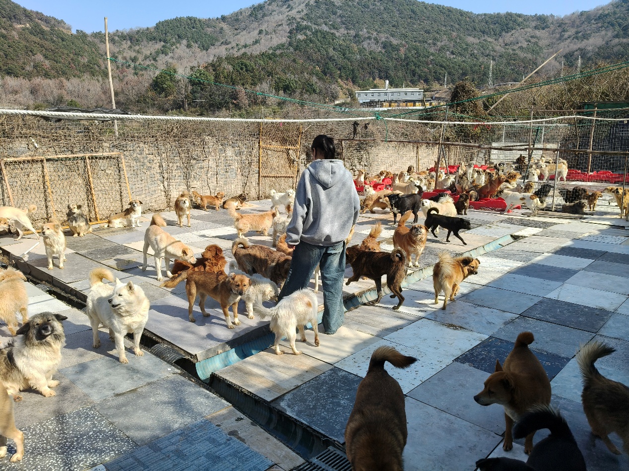 如图片无法显示,请刷新页面 如图片无法显示,请刷新页面