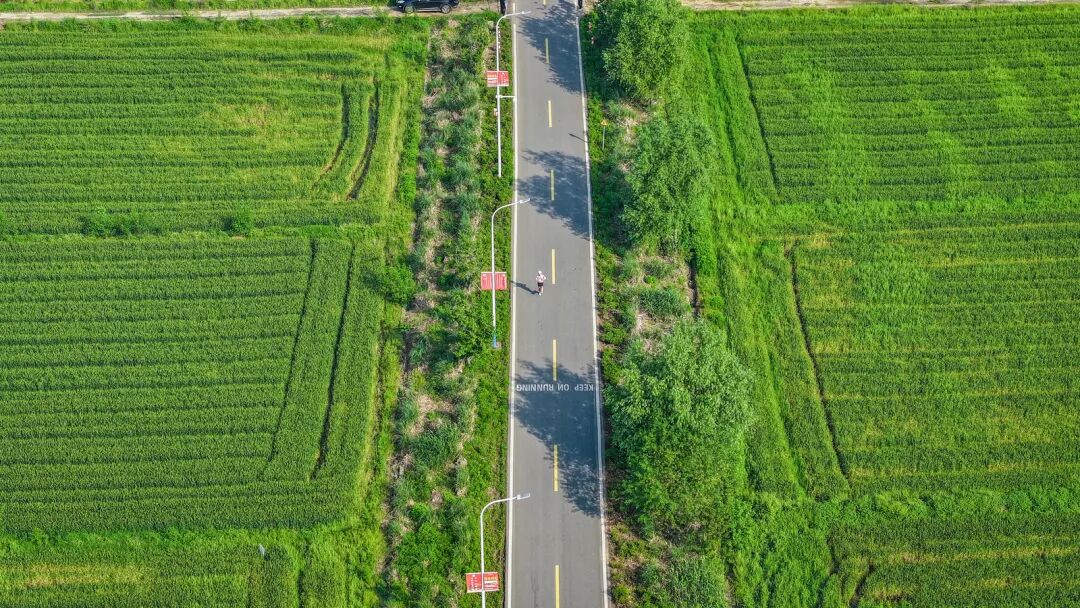 一镜千年，策马怀宁｜2026怀宁农商银行·怀宁马拉松跑出“诗乡果海”新篇章