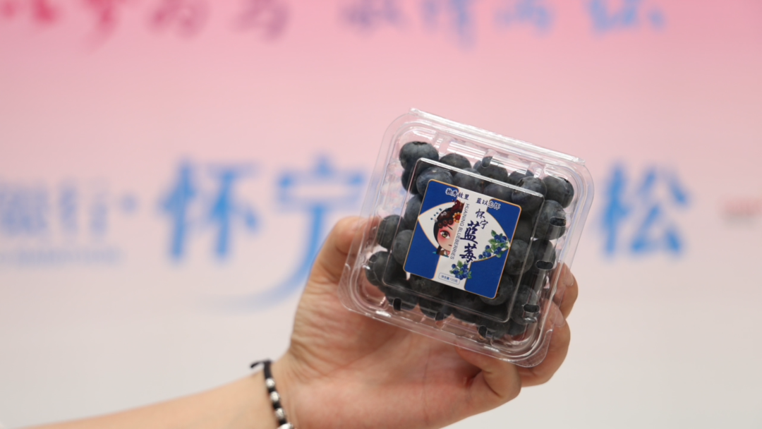 一镜千年，策马怀宁｜2026怀宁农商银行·怀宁马拉松跑出“诗乡果海”新篇章