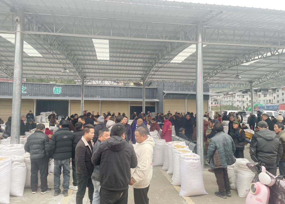 c1fe24906a6a786809ac46299e6afa10