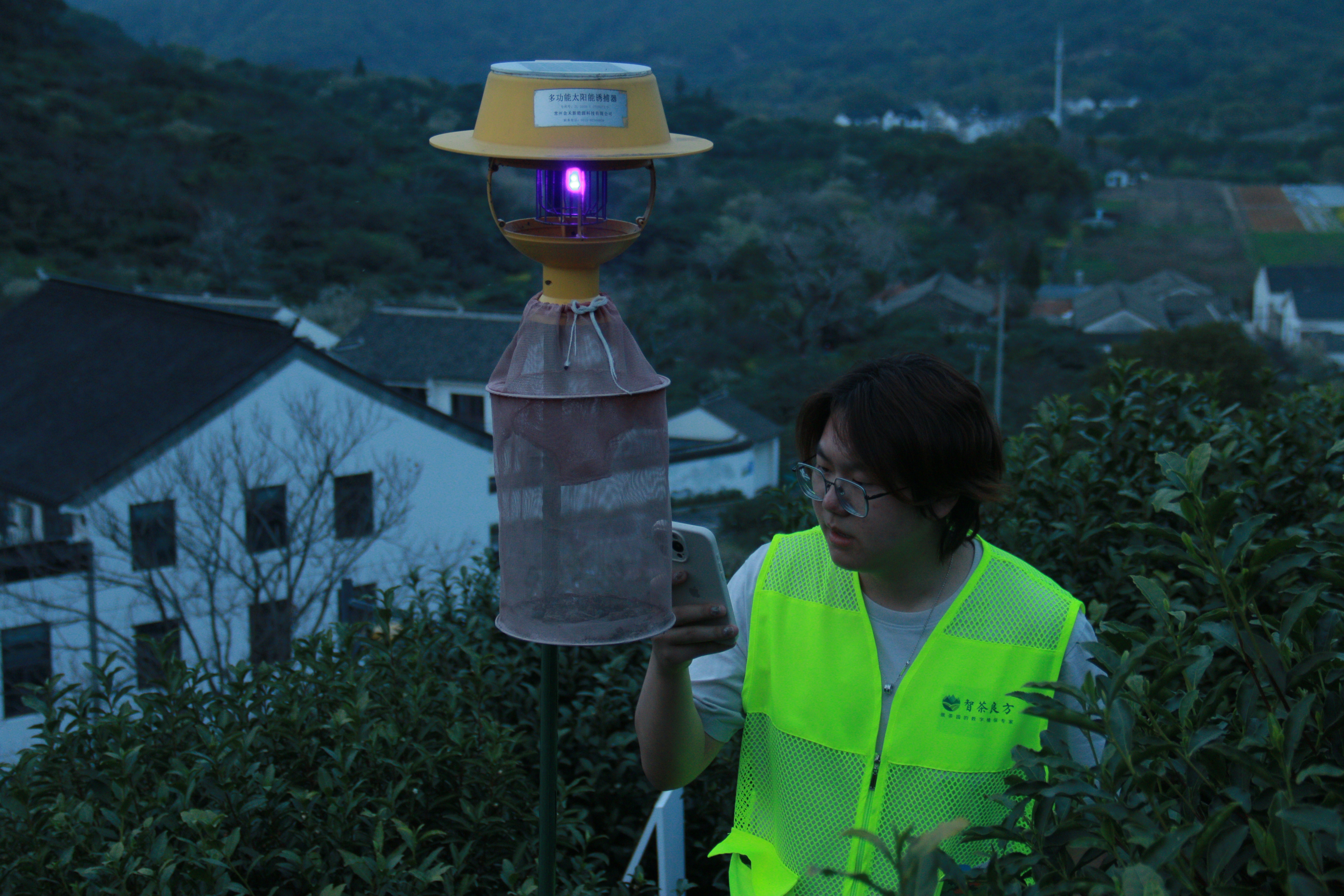 夜间检查捕虫设备1