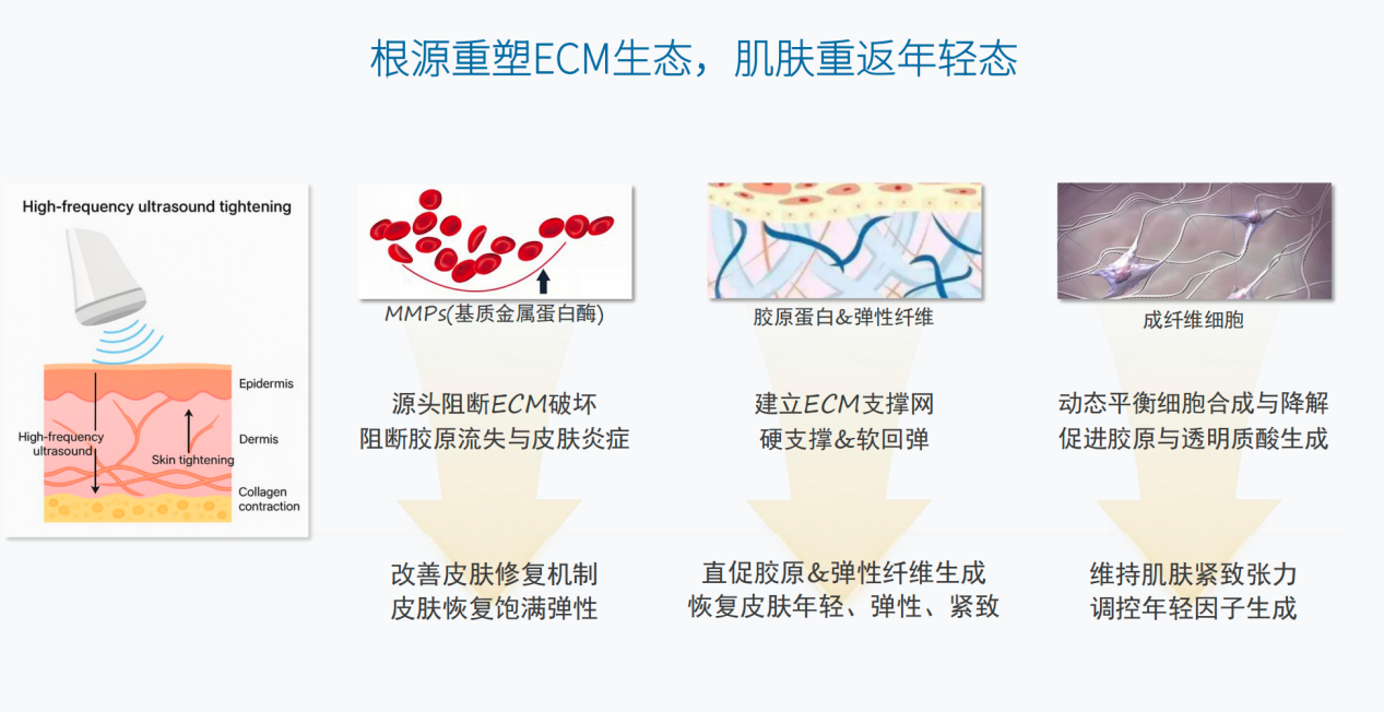 从医研共创到产品合规：塔菲提如何走通一套完整的医疗科技成果转化全流程(图7)