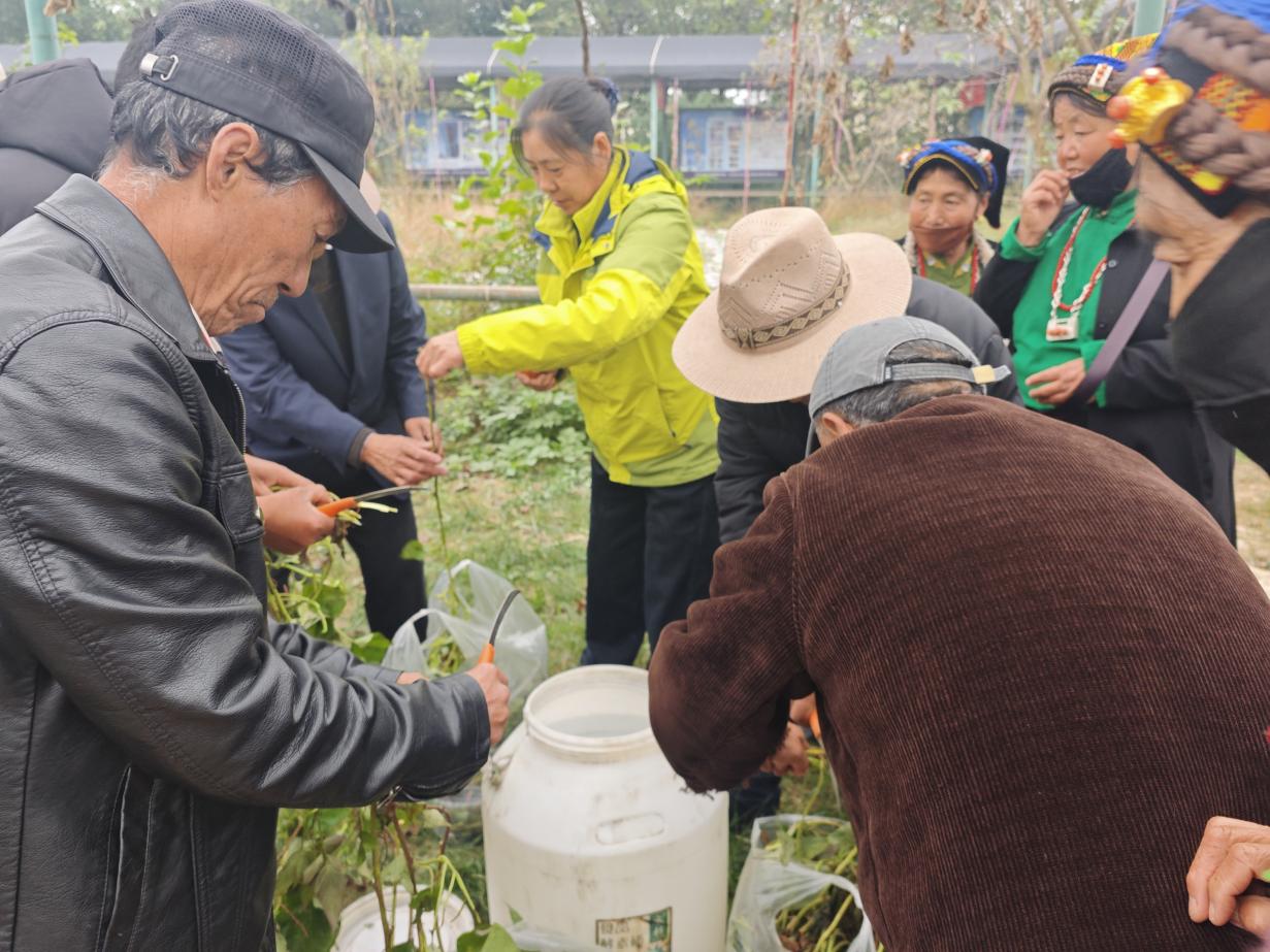 0b49fcafb8db6530c50c48d8511e5fa2