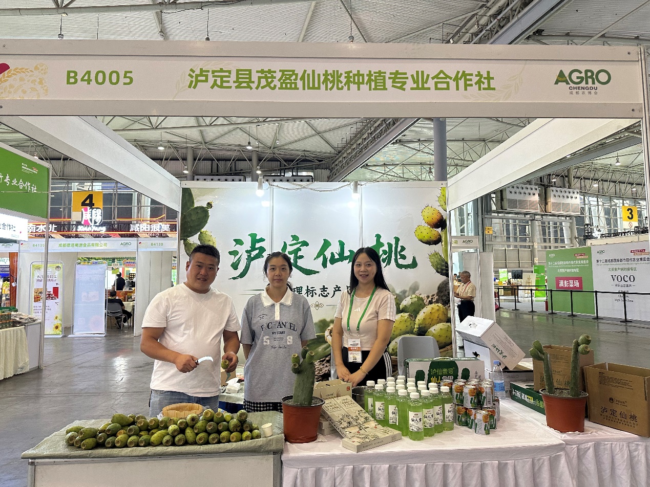 E:\xwechat_files\a469156609_cd83\temp\RWTemp\2026-09\9e20f478899dc29eb19741386f9343c8\2a1a1f172e825540acfd84559994844e.jpg
