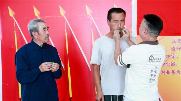 如图片无法显示，请刷新页面