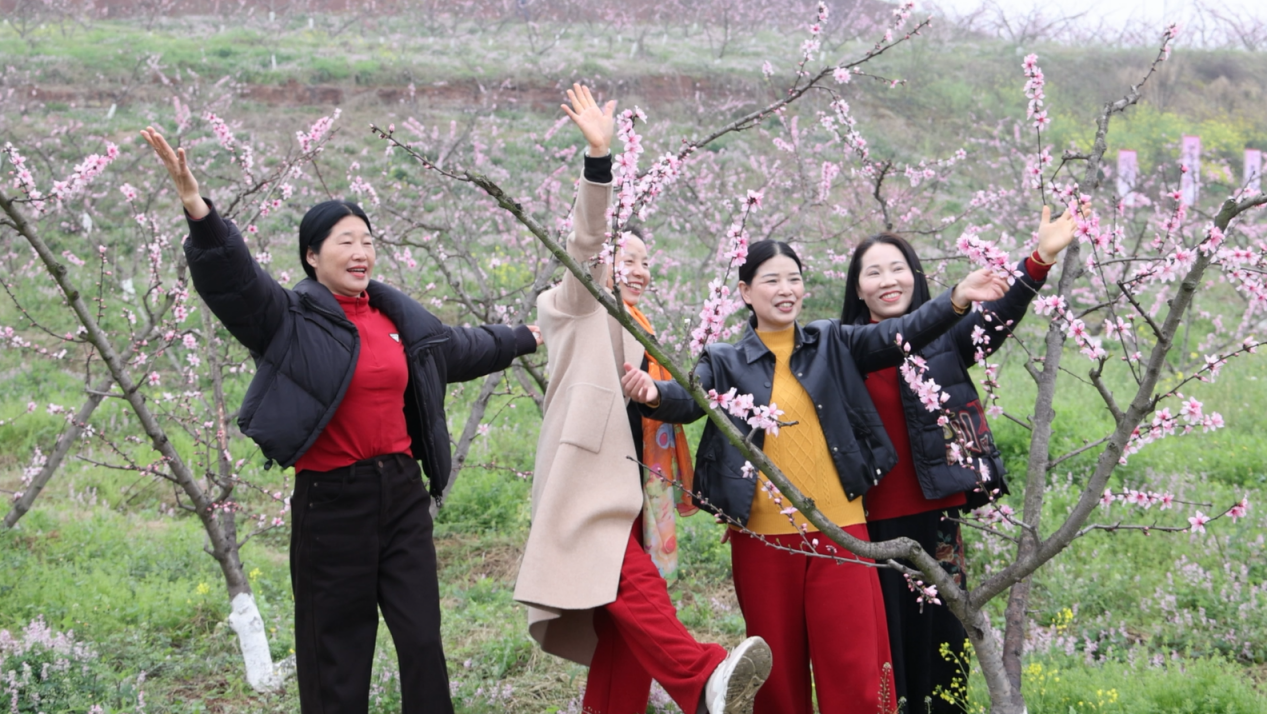 a40650f30405fd9726eb41d8d6d6b1d4 a40650f30405fd9726eb41d8d6d6b1d4