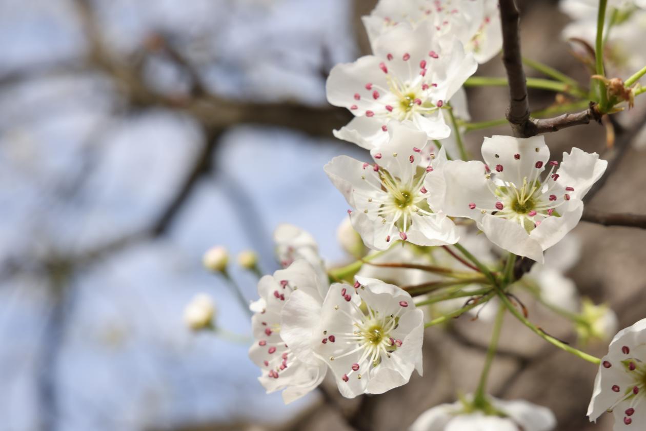 BC70C26532A7A64FEFD47883E7B64D92 BC70C26532A7A64FEFD47883E7B64D92