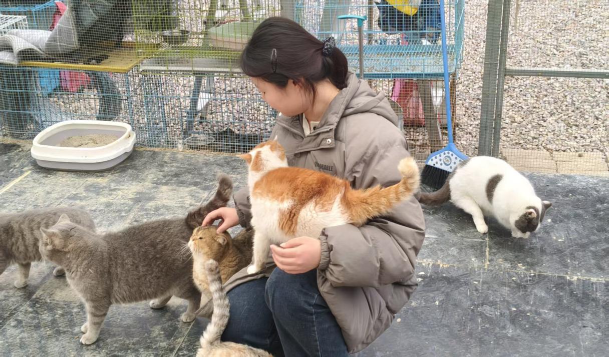 mmexport1772121045031