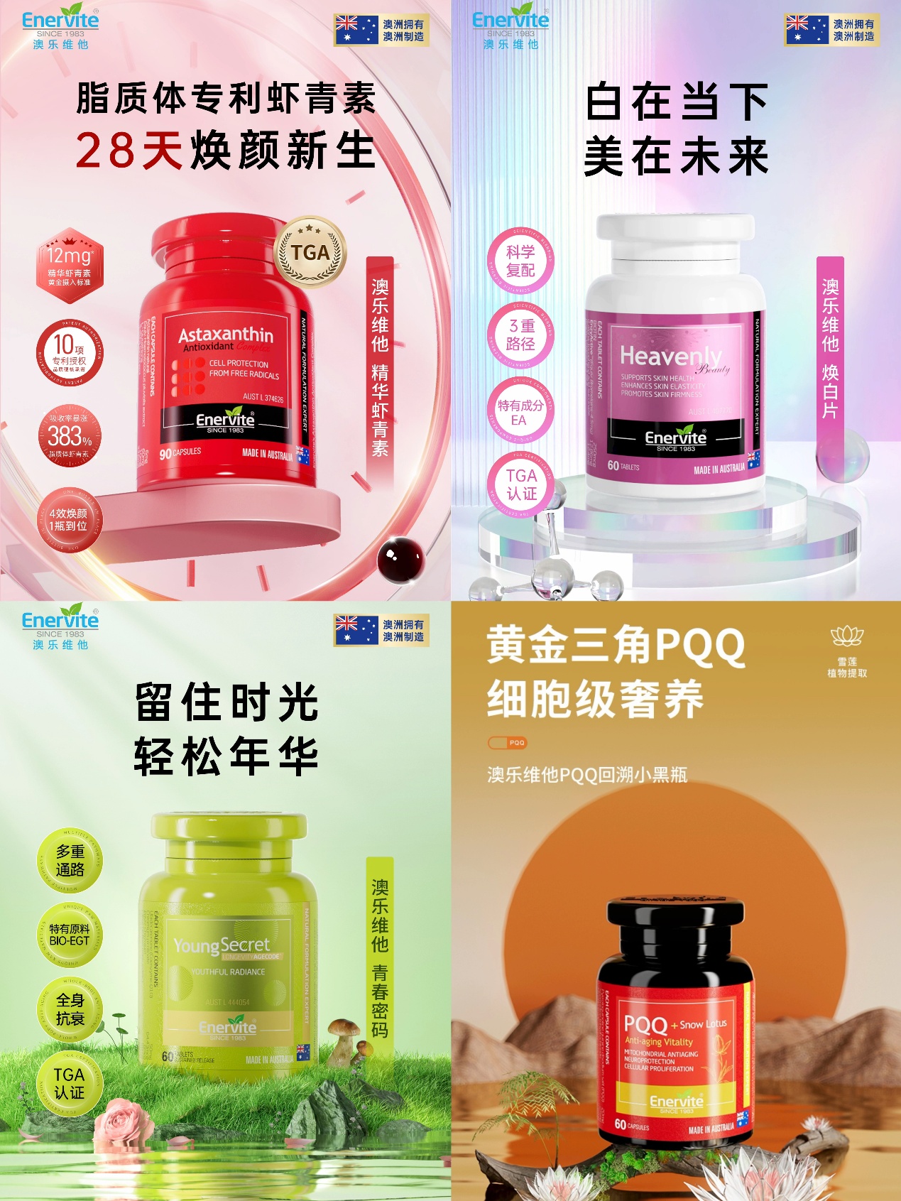 如图片无法显示，请刷新页面