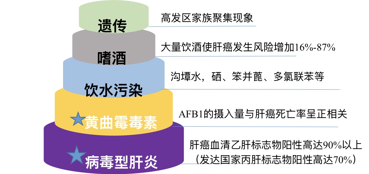 8c8b57fc5127b3f262c379f5e265e67