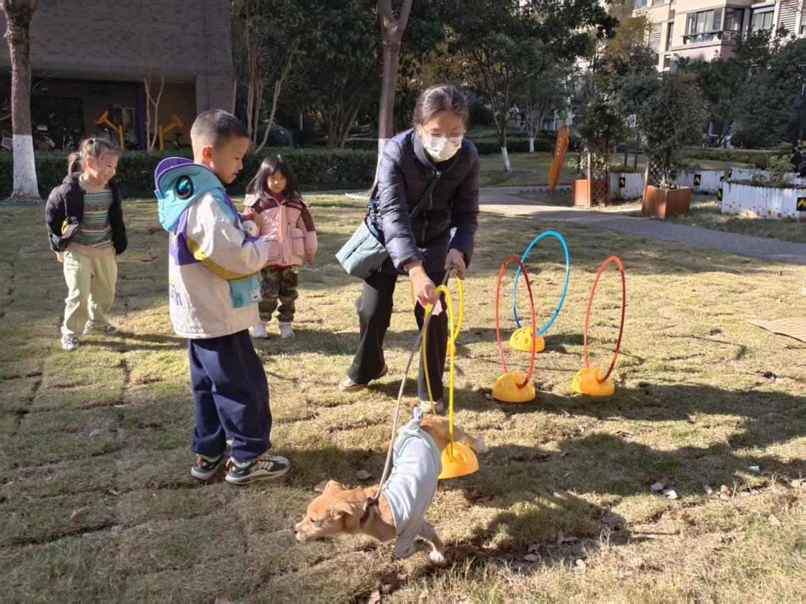 微信图片_20251206134506_1536_315 微信图片_20251206134506_1536_315