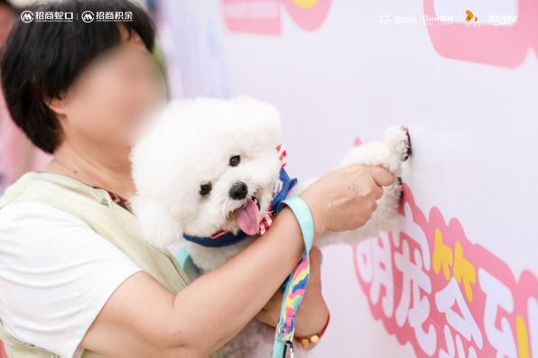 E:\小茹的文件夹\深圳招商荟\2026\6月\萌宠照片\萌宠活动现场照片\已打码\厚码\FSLL9600-opq4682846161.jpgFSLL9600-opq4682846161