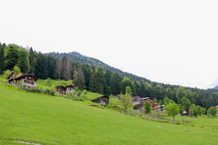 Ayder Plateau 1