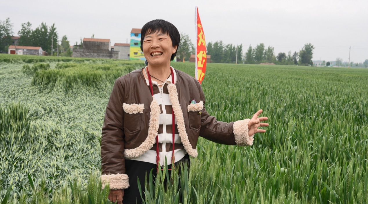 5138ae84384c9814472f81309680e94c