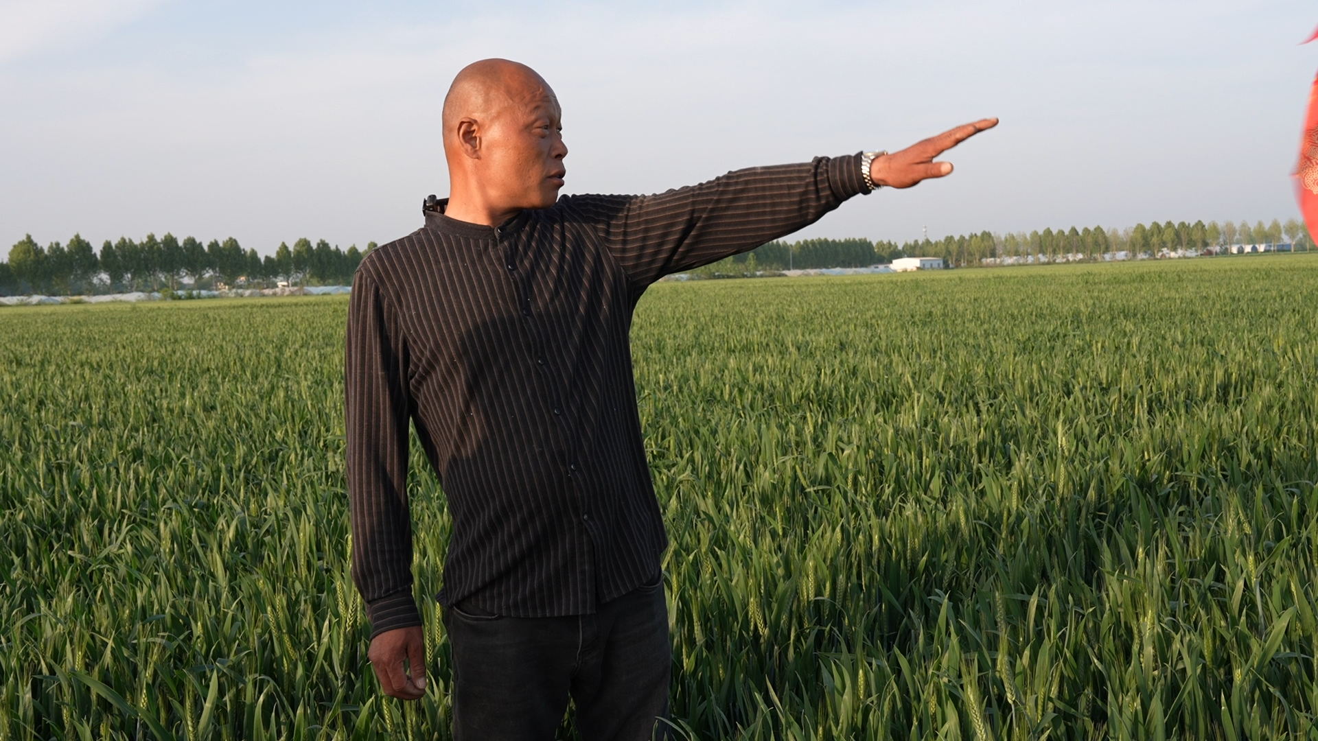 18b7c1201e47c2fb96483817e1613abe