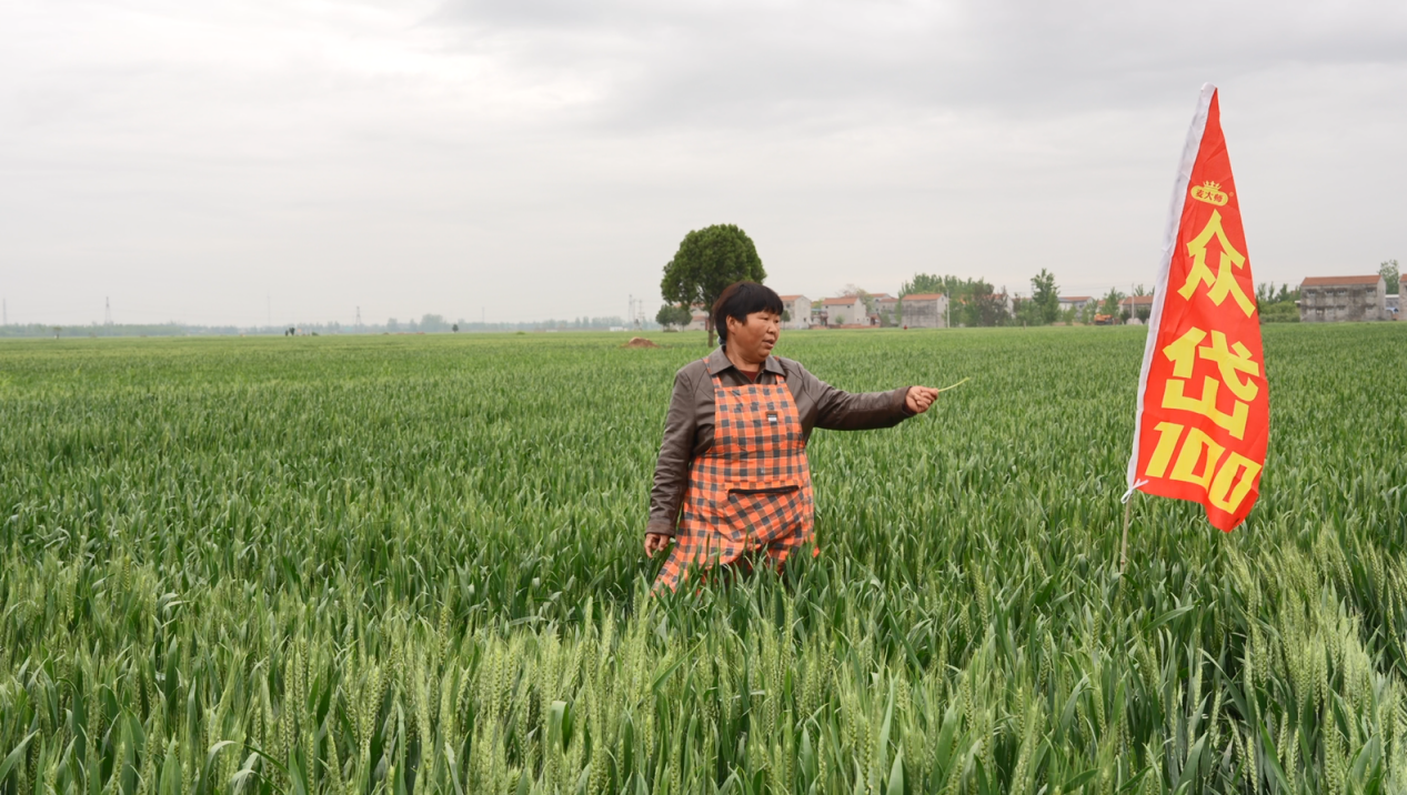 7f7481623fb08fe33ea50c7170ea36af