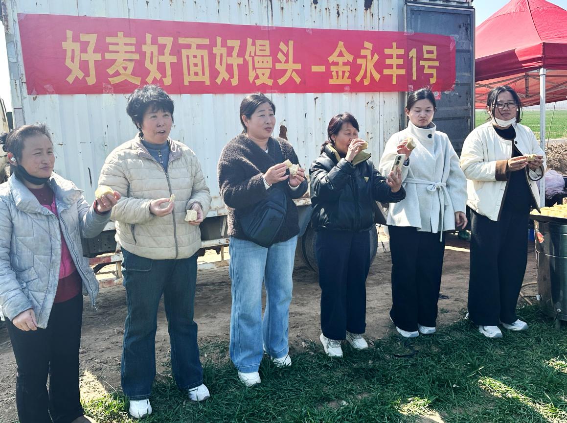 吃馒头比赛 吃馒头比赛