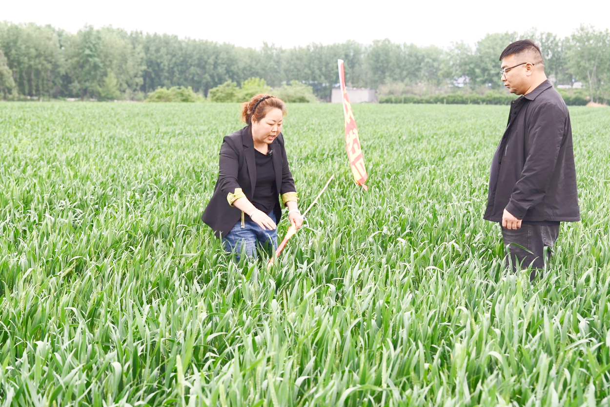 微信图片_20260418000747_595_813