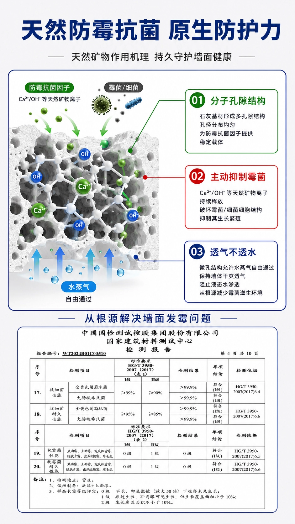 �嶨AI-12