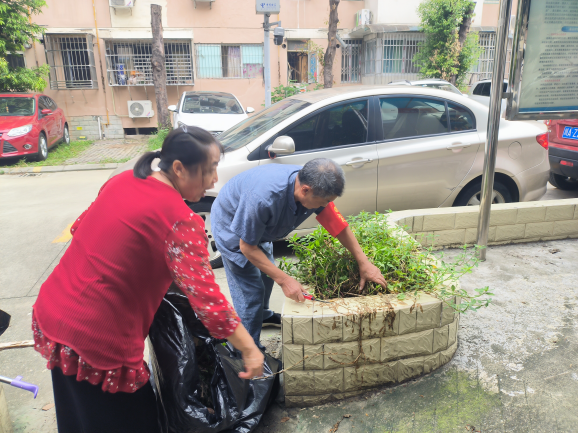 如图片无法显示,请刷新页面