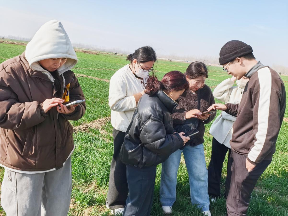 河北手机培训 河北手机培训