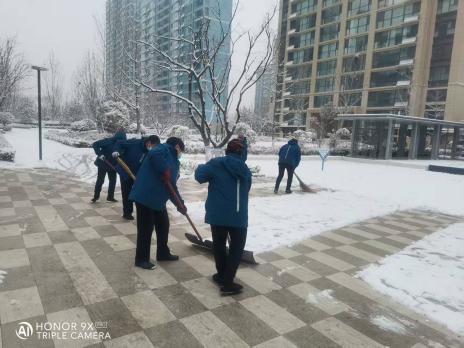 平凡微光，汇聚服务暖流——碧桂园服务山东区域2025年一线人物纪实