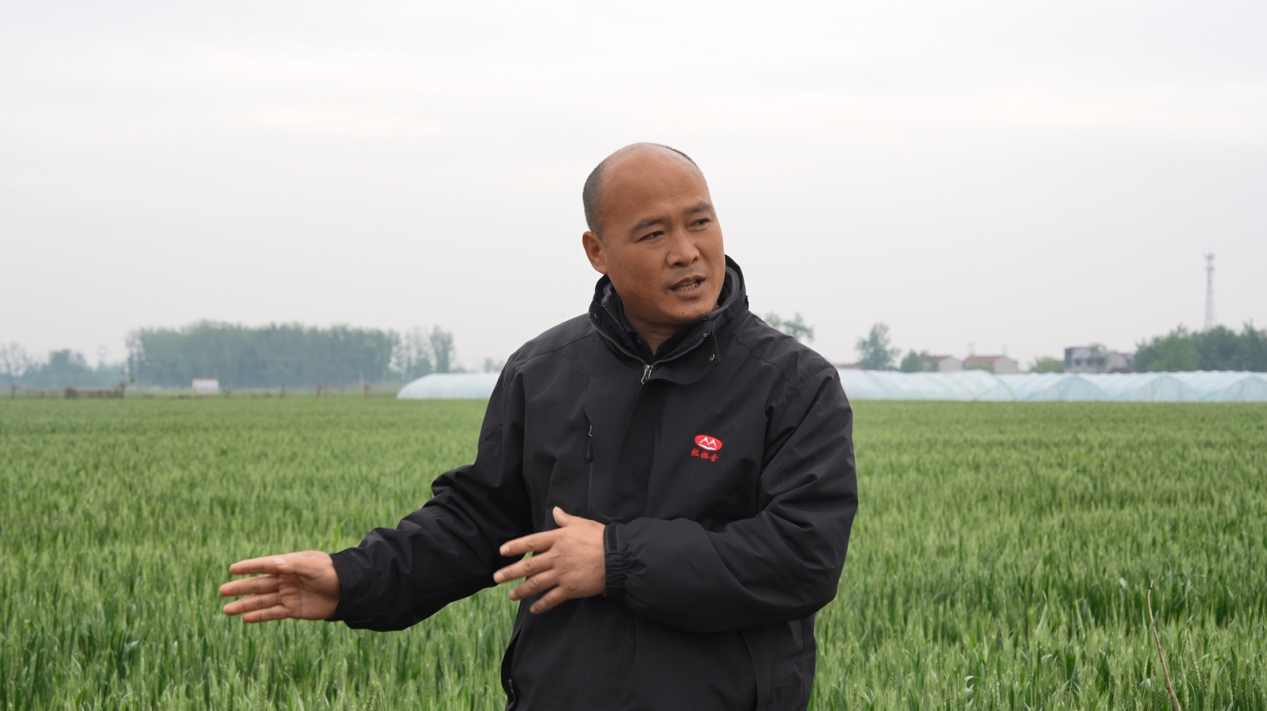 d36d017ca6bb363d596c1c4ec55bb0b9