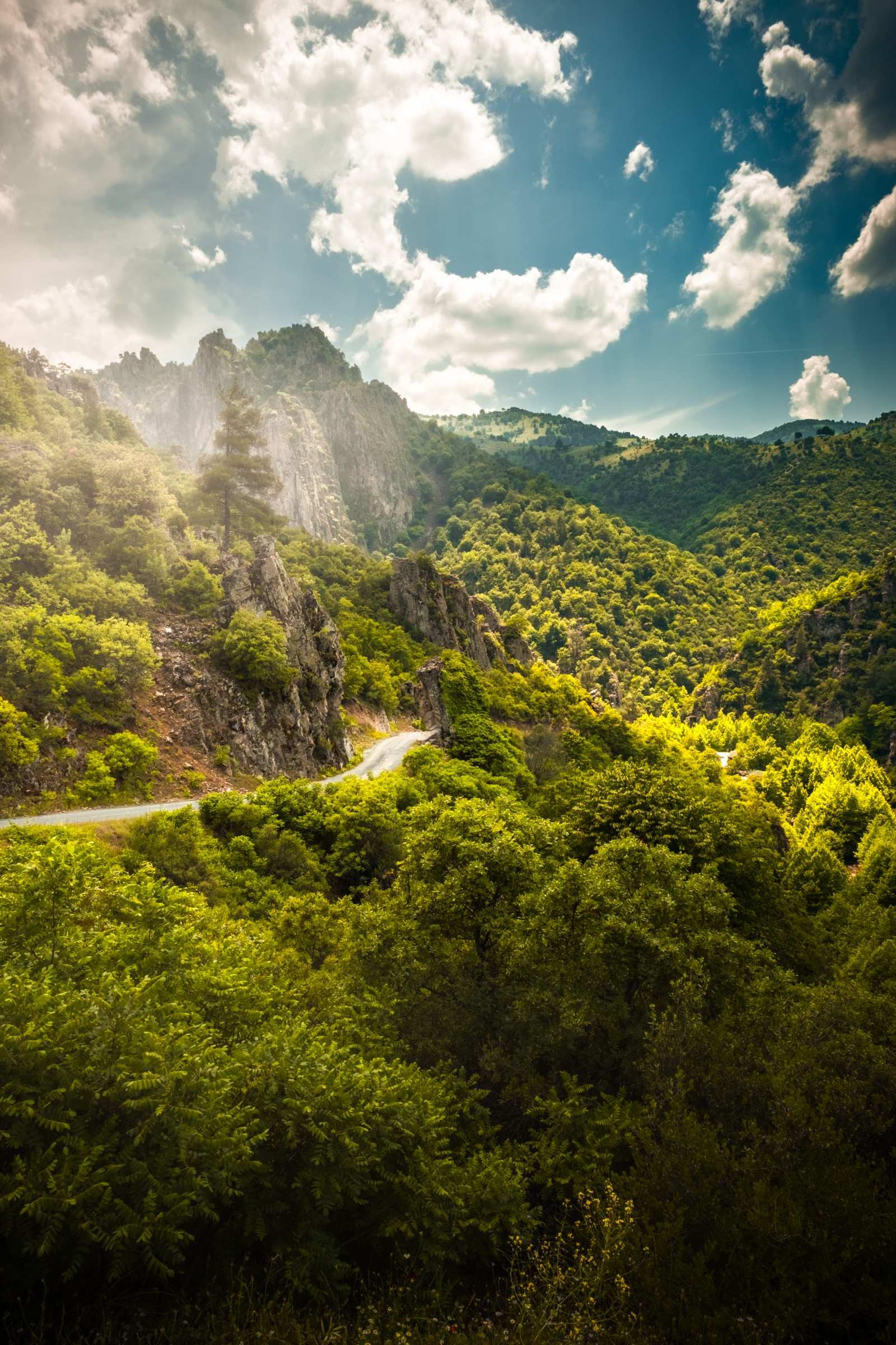 Bursa Uludağ  Mountain 2026-1