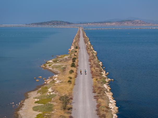 İzmir Sasalı Kuş Cenneti Cycling  1