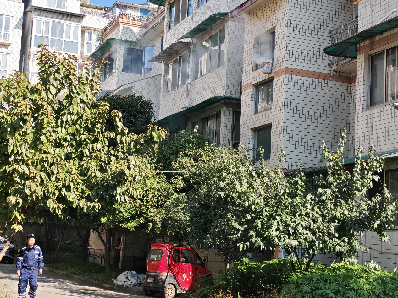 IMG_20251119_151803 IMG_20251119_151803