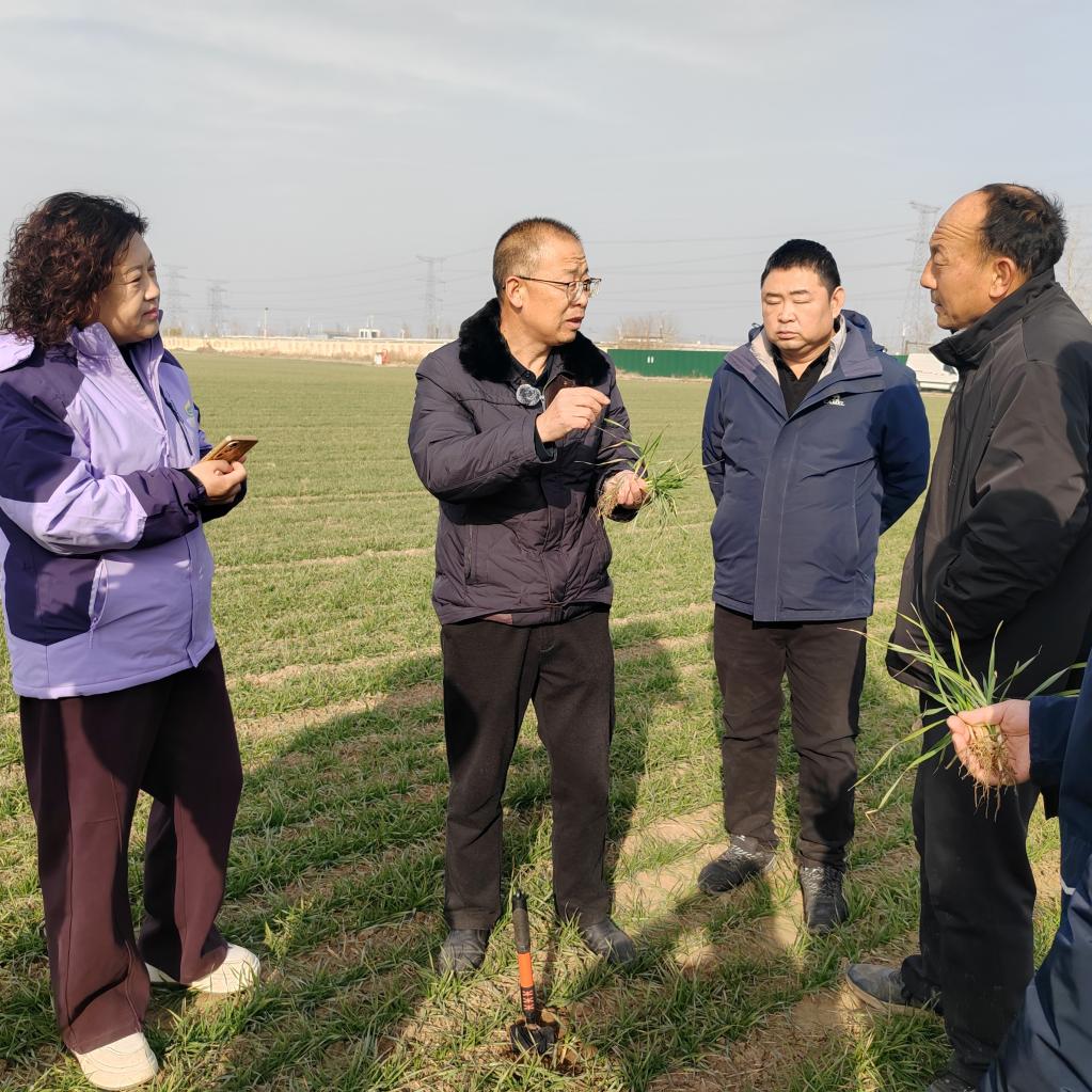 f5253343a7ae3ffb7cf1e59c54578ac7