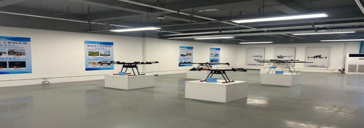 展