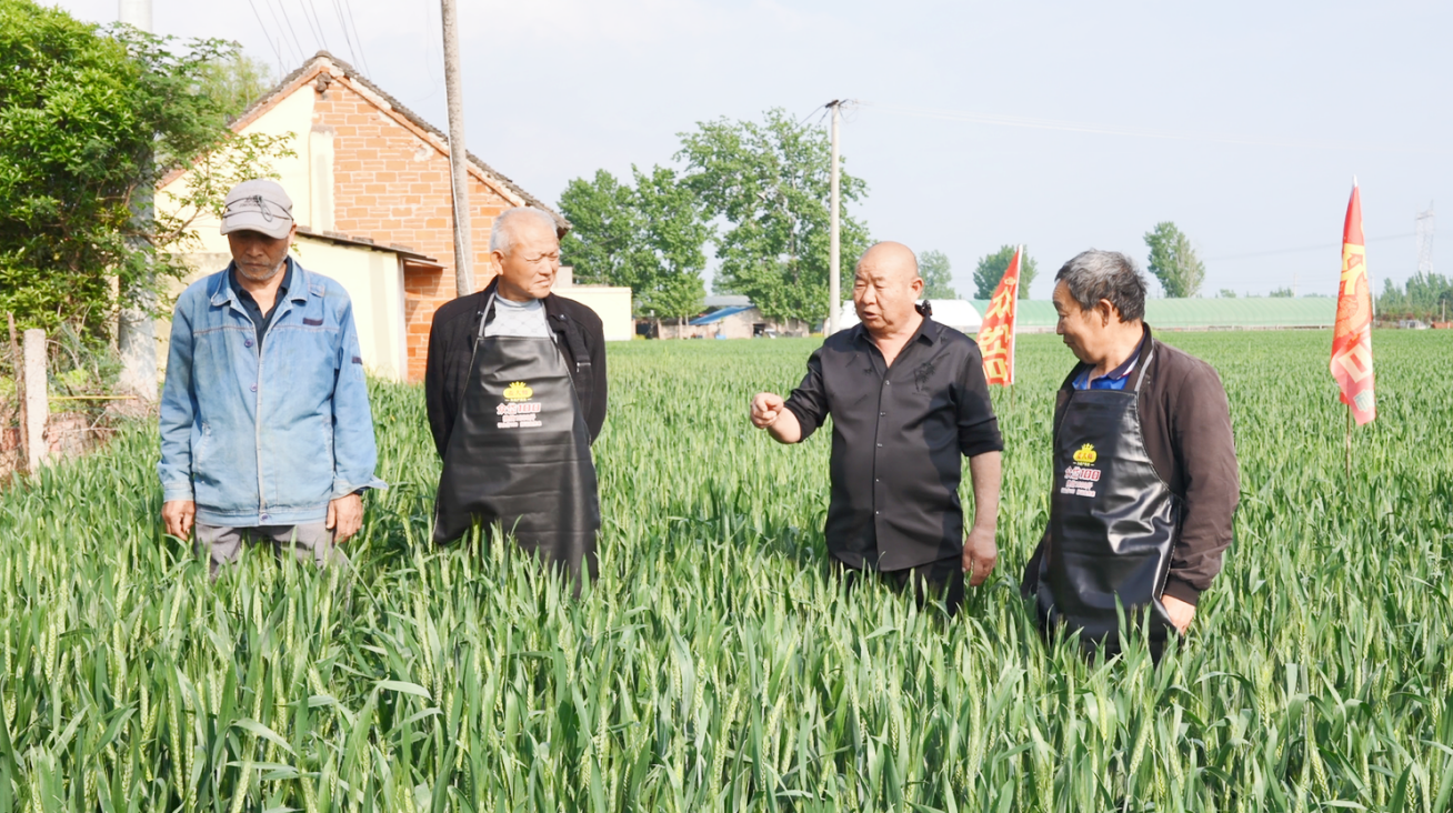 微信图片_20260417235933_589_813