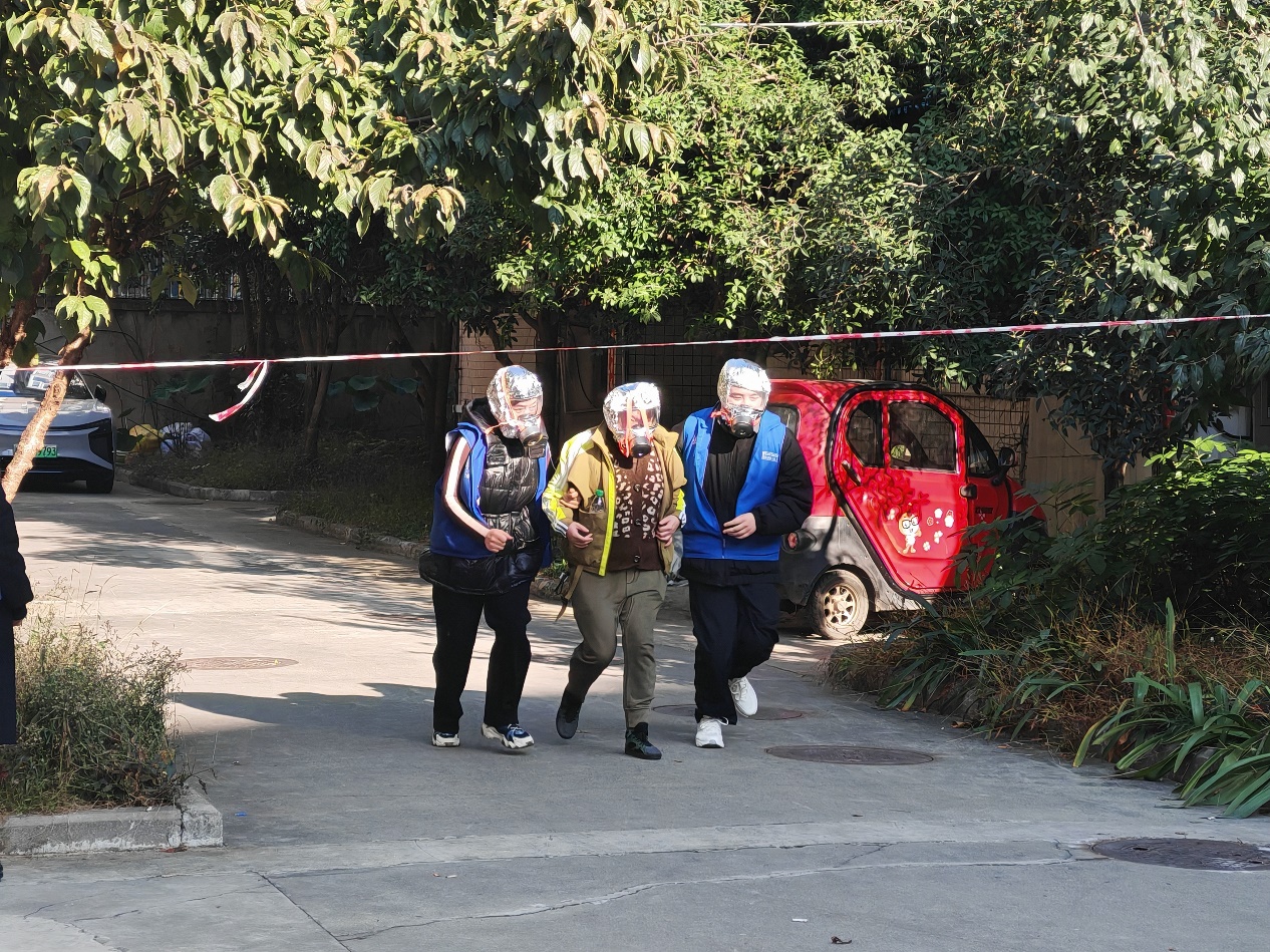 IMG_20251119_152435 IMG_20251119_152435