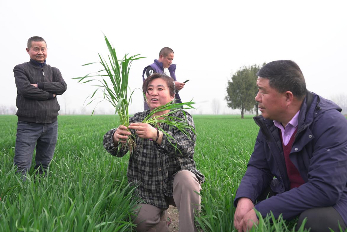 13d5c69b111ff96613e0e4f6b5568e55