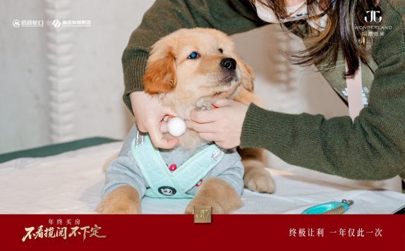 E:小茹的文件夹长沙招商荟稿件内容阅历12月长沙-阅历活动回顾照片2_1600_3000_gif.jpg2_1600_3000_gif