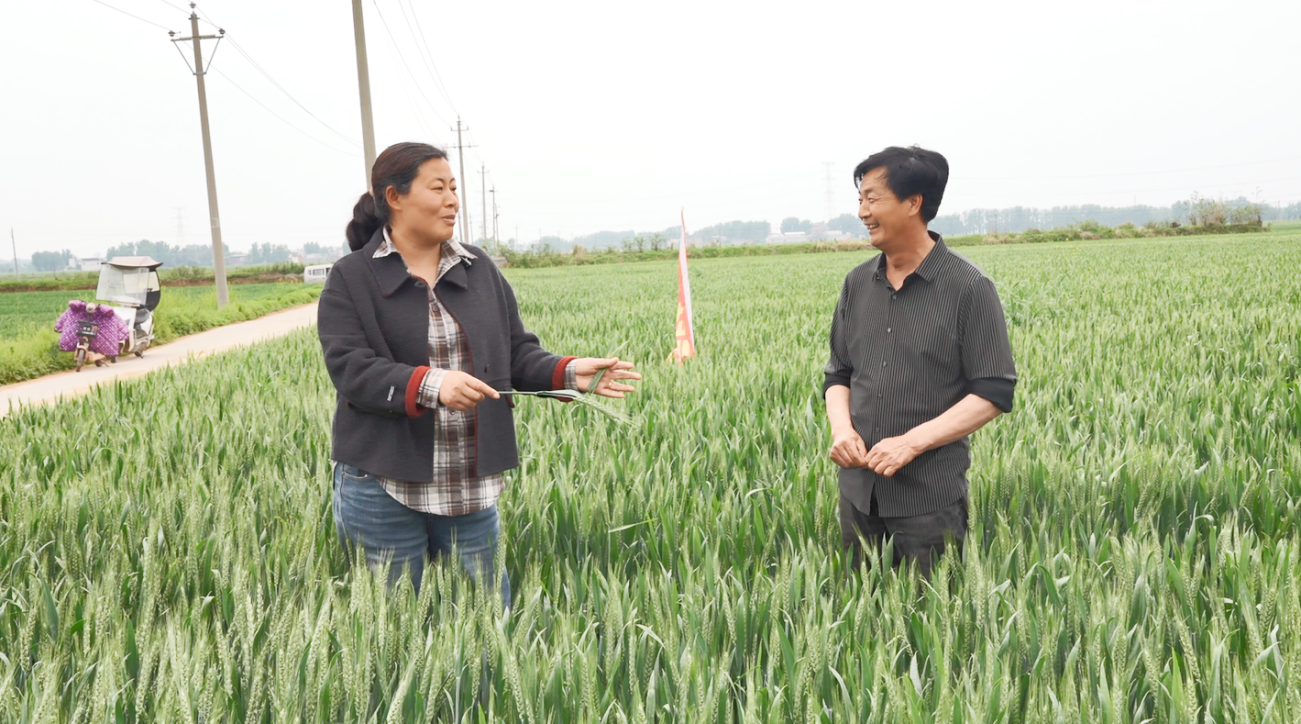 微信图片_20260417234211_572_813