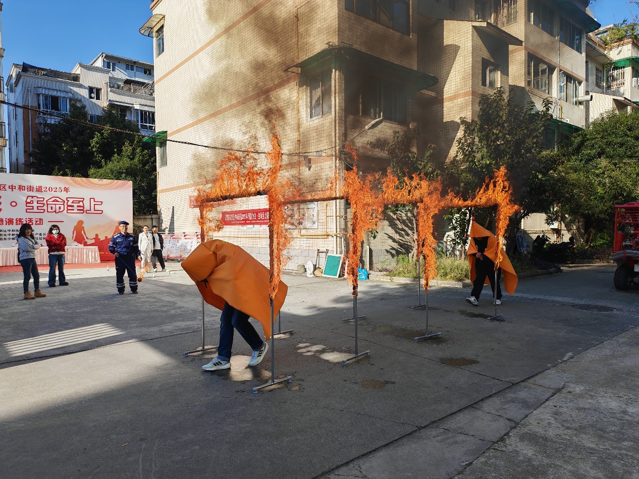 IMG_20251119_153802 IMG_20251119_153802