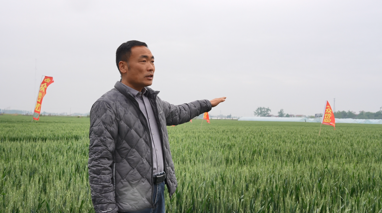 cca63746be2b07ccd1992e94858b8052