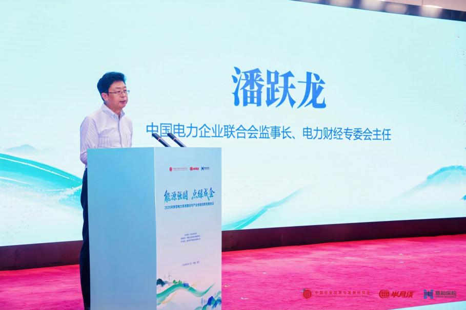 4、潘主任 4、潘主任