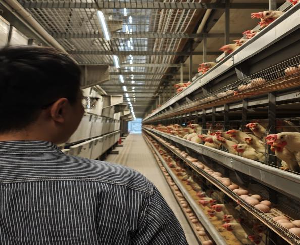 如图片无法显示，请刷新页面