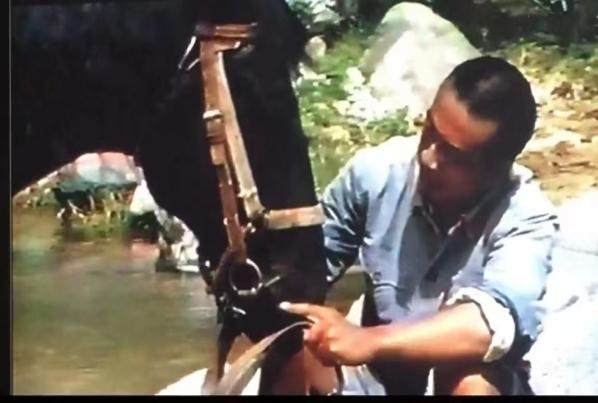 王云之作曲《晚霞里的惜别》交响音画的艺术赏析