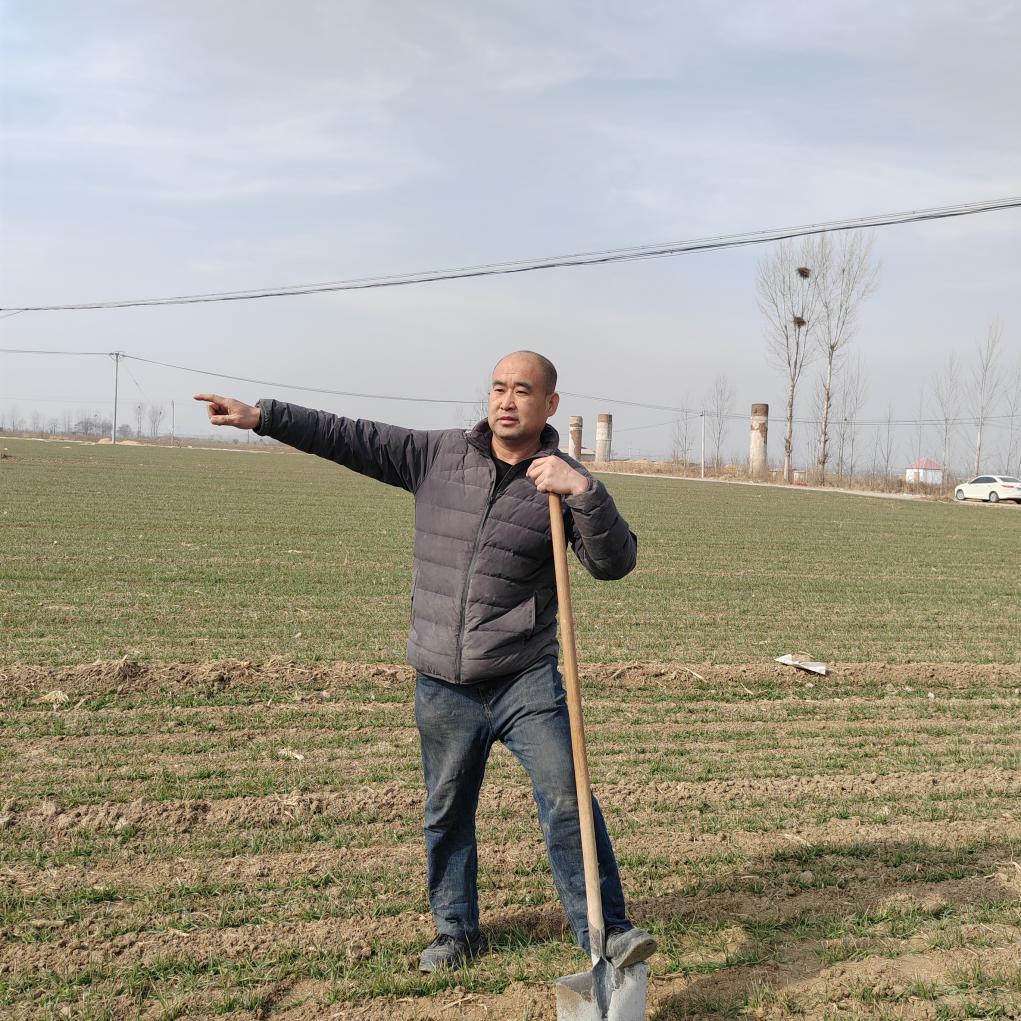 a79f4bbe22ca358d5d63ccd10ab2616d