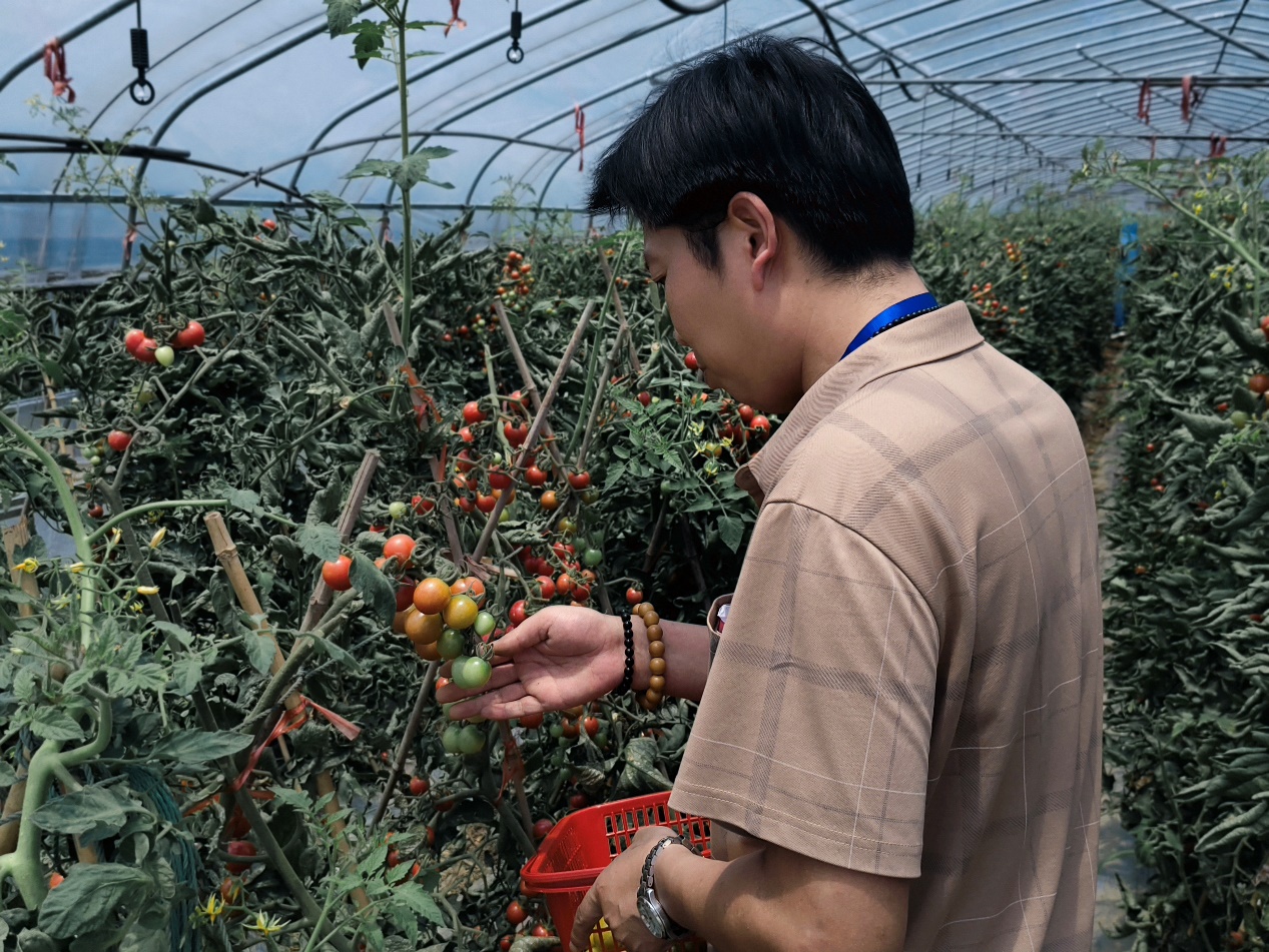 如图片无法显示，请刷新页面