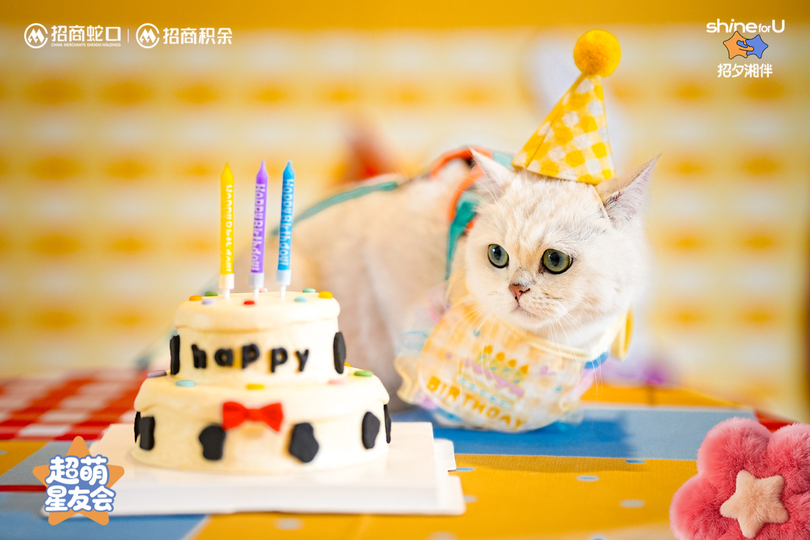 E:小茹的文件夹长沙招商荟稿件内容阅历12月长沙-阅历活动回顾照片派对3.jpg派对3