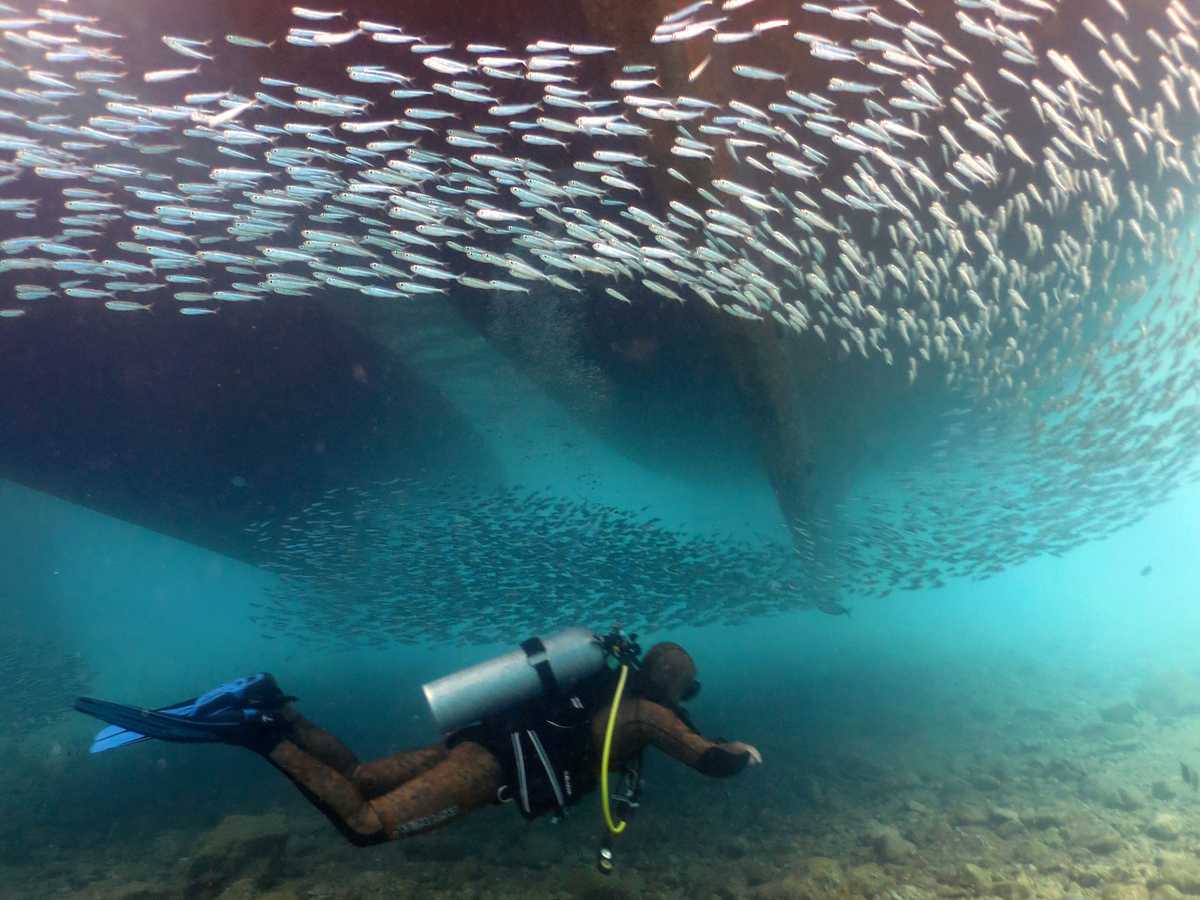 Kalkan Diving 1